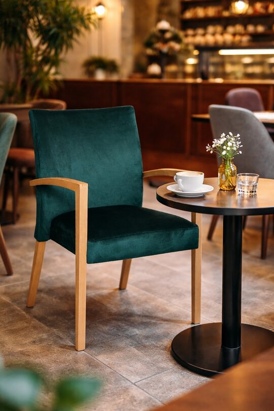 Jedálenská stolička D 3005