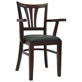 Jedálenská stolička D 3157/K - čalúnená s podrúčkami