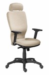 Kancelárska stolička 2420+AR08 RG27